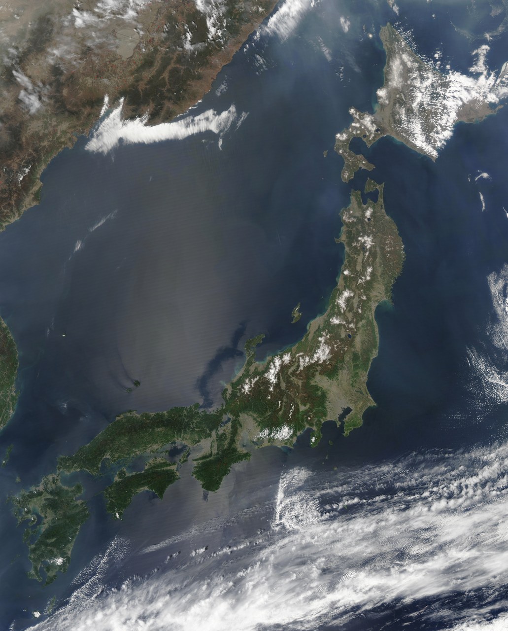 일본 영어로 1